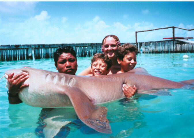 Shark.JPG
