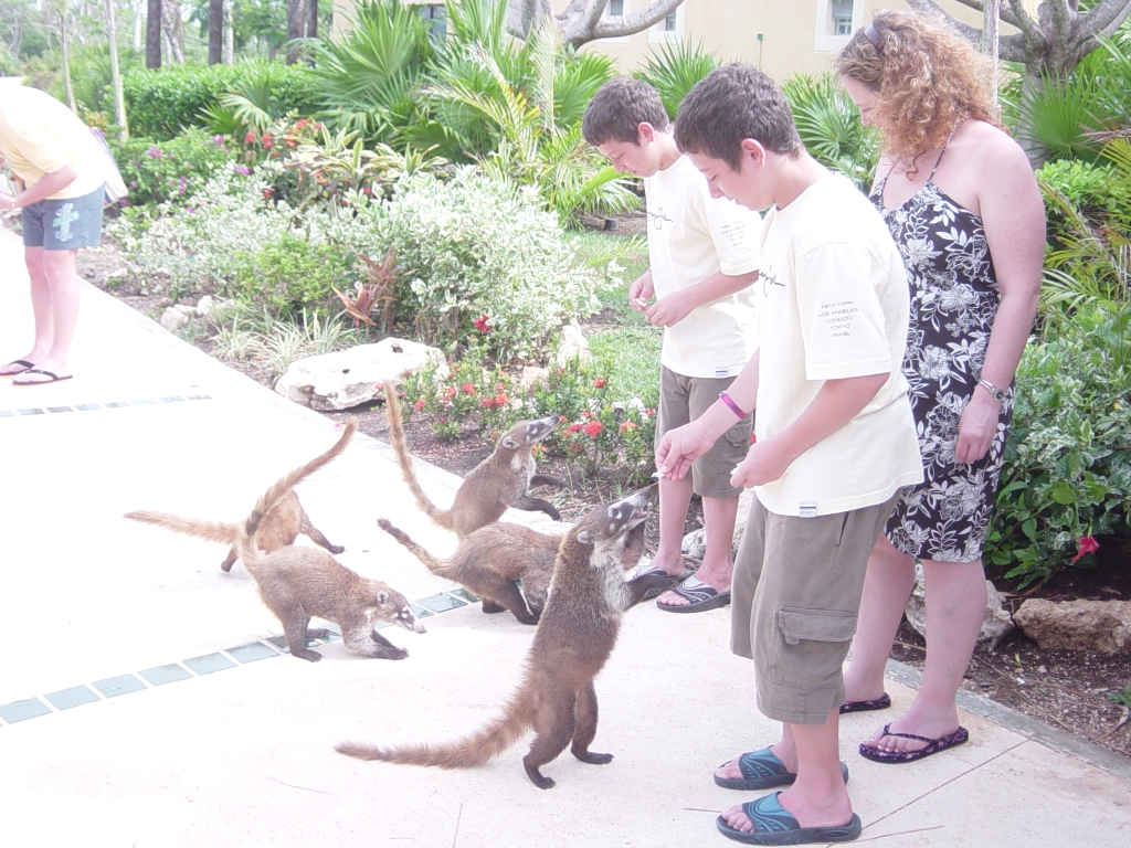 vacation 015.jpg